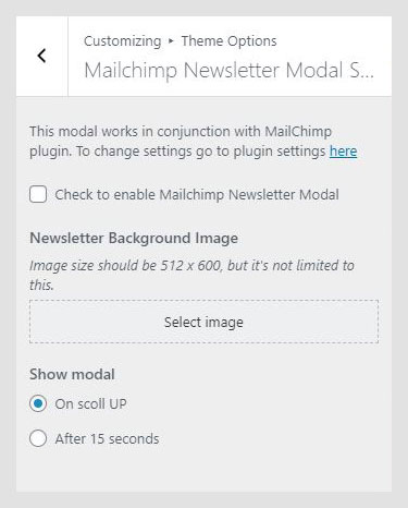 Andara WordPress theme documentation - Mailchimp Newsletter Modal