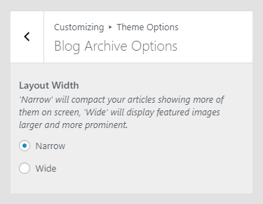 Renzo WordPress theme documentation - Blog Archive Options