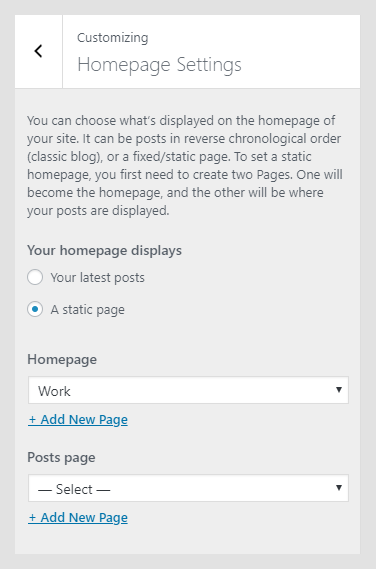 Renzo WordPress theme documentation - Homepage Settings