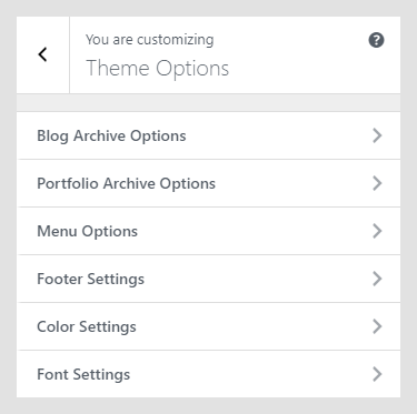 Renzo WordPress theme documentation - Theme Options