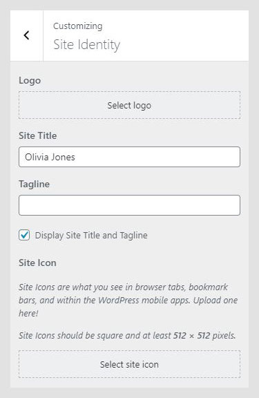 Authentica WordPress theme documentation - Site Identity