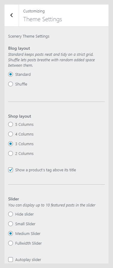Scenery WordPress theme documentation - Theme Settings