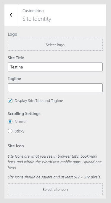 Testina WordPress theme documentation - Site Identity