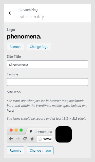 Phenomena WordPress theme documentation - Site Identity